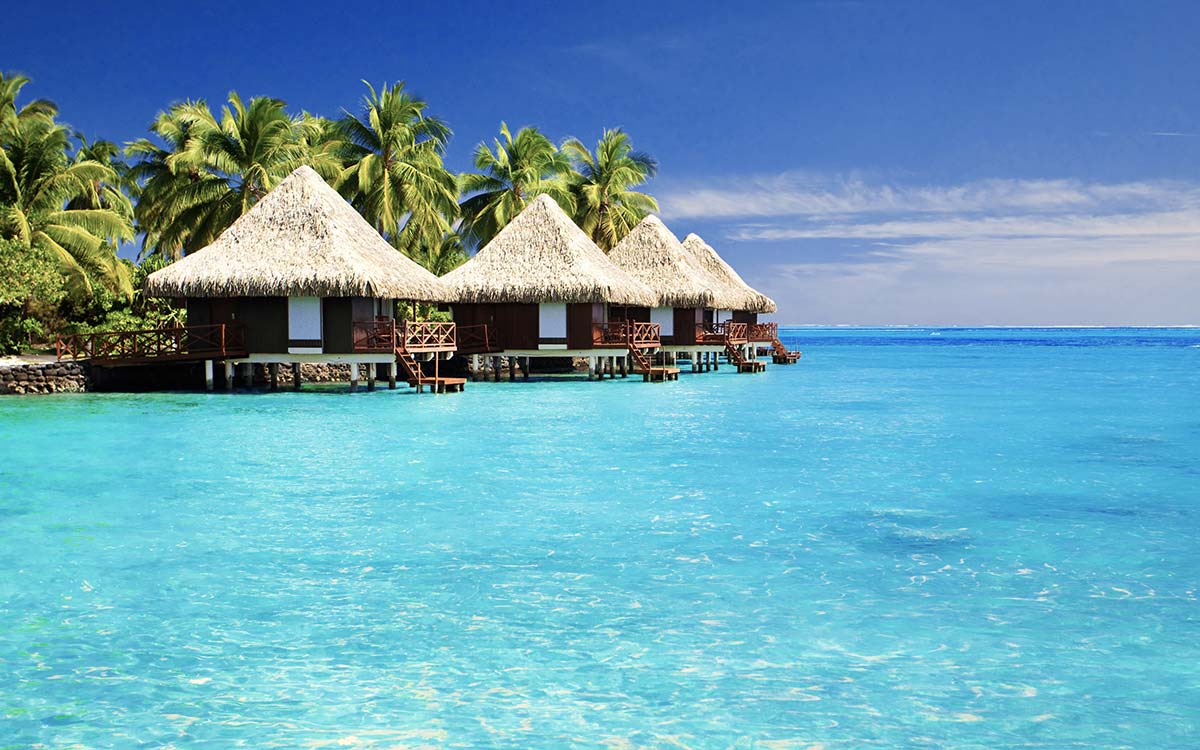 Bungalows on Ocean Portfolio: Duis malesi vivera rius