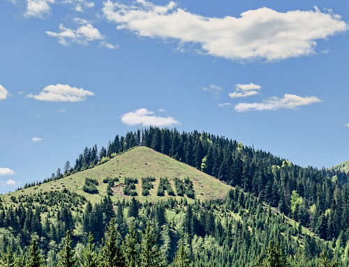 Dealul Crucii, Putna