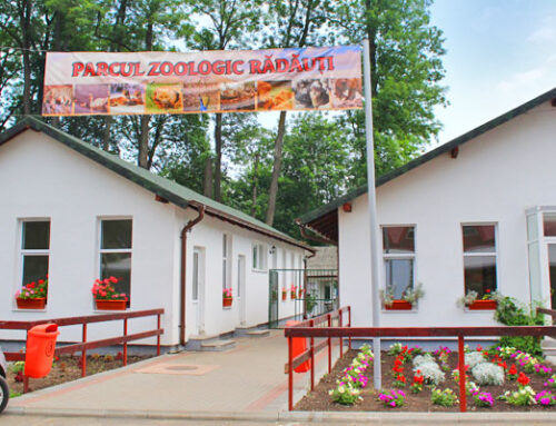 Gradina Zoologica Radauti