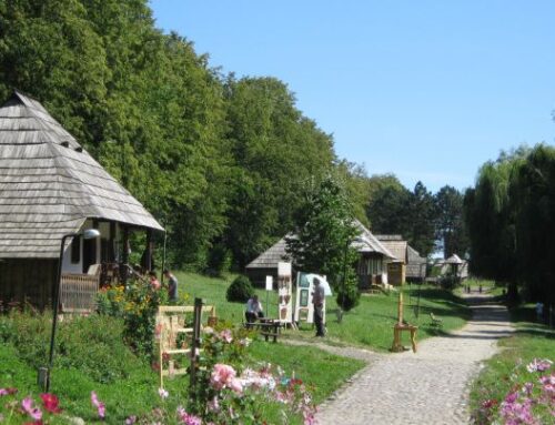 MUZEUL SATULUI BUCOVINEAN