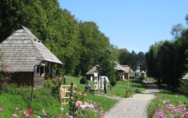 MUZEUL-SATULUI-BUCOVINEAN Articol: MUZEUL SATULUI BUCOVINEAN